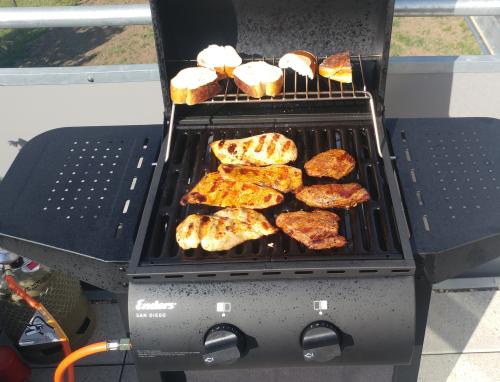 Enders San Diego 2 Gasgrill: Review unter 100 Euro