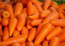 Karotten: Alle Infos, Nährwerte & Gerichte
