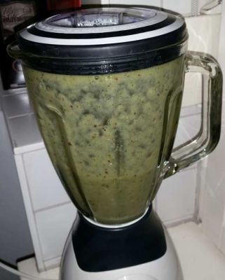 wie funktionieren smoothie mixer