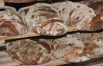 Brot frisch halten