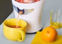 beste Saftpresse Test