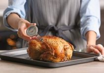 bestes Bratenthermometer Test