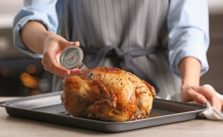 bestes Bratenthermometer Test