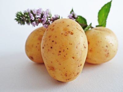 Kartoffeln im Gemuesefach lagern