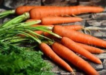 Möhren richtig lagern: 10 Tipps für lange Haltbarkeit