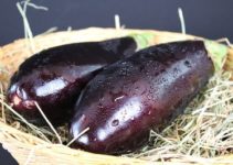 Aubergine einfrieren: So geht’s richtig