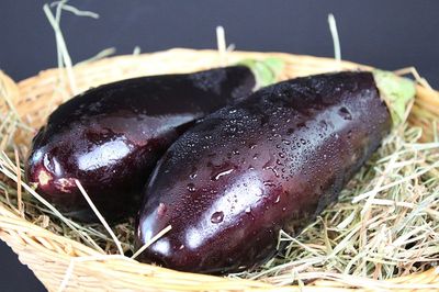 Aubergine einfrieren