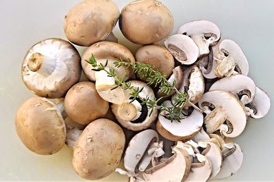Champignons einfrieren