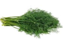 Dill einfrieren