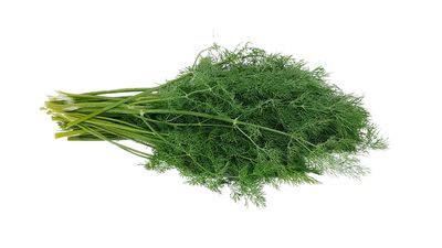 Dill einfrieren