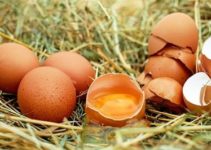 Eier einfrieren & haltbar machen: So geht’s richtig