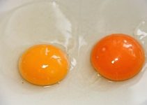 Eigelb einfrieren: So geht es richtig