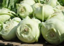 Kohlrabi einfrieren & haltbar machen: So geht’s richtig