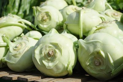 Kohlrabi einfrieren