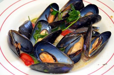 Miesmuscheln einfrieren (1)
