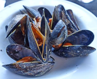 Miesmuscheln nach dem Auftauen (1)
