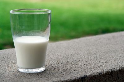 Milch einfrieren