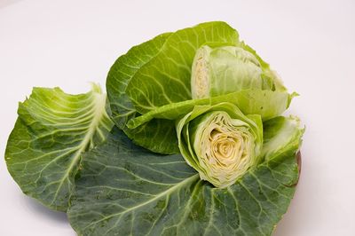 Spitzkohl einfrieren