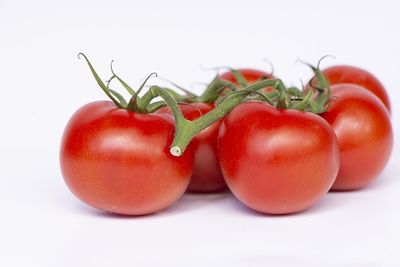 Tomaten richtig lagern
