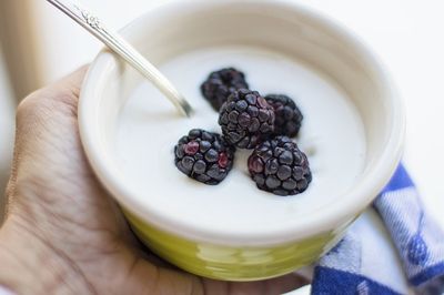 Wie lange ist ein selbst gemachter Joghurt haltbar 