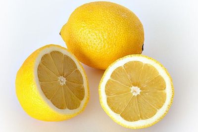 Zitronen einfrieren