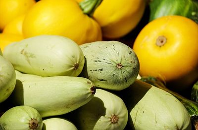 Zucchini einfrieren