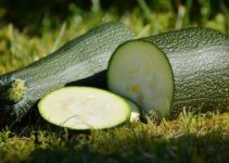 Zucchini würzen & verfeinern: Passende Gewürze