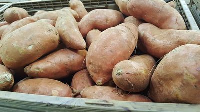 Suesskartoffeln im Kuehlschrank (1)
