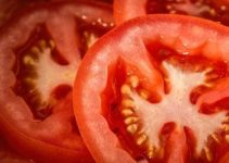 Tomaten einfrieren & haltbar machen: So geht’s richtig