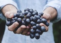 Weintrauben einfrieren & haltbar machen