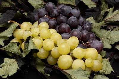 Weintrauben nach dem Auftauen