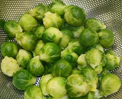 Rosenkohl einfrieren