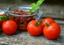 Tomaten trocknen: Anleitung für Backofen und an der Luft