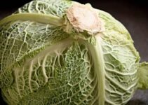 Weißkohl einfrieren und so haltbar machen: Unsere Anleitung