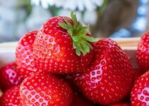 Erdbeeren einfrieren