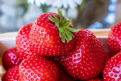 Erdbeeren einfrieren