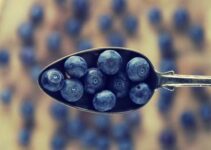 Blaubeeren einfrieren: So geht es richtig