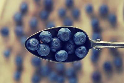 Blaubeeren einfrieren