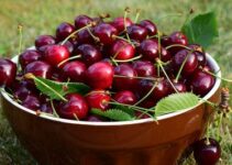 Kirschen einfrieren: Anleitung und wichtige Tipps