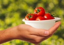 Tomaten einkochen