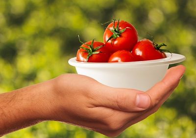 Tomaten einkochen