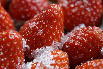 Erdbeeren ohne Zucker einkochen (1)