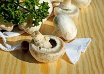 Pilze einkochen: Anleitung, Rezept & wichtige Tipps