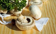 Pilze einkochen