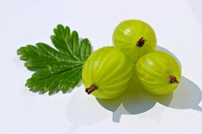 Stachelbeeren vor dem Einkochen