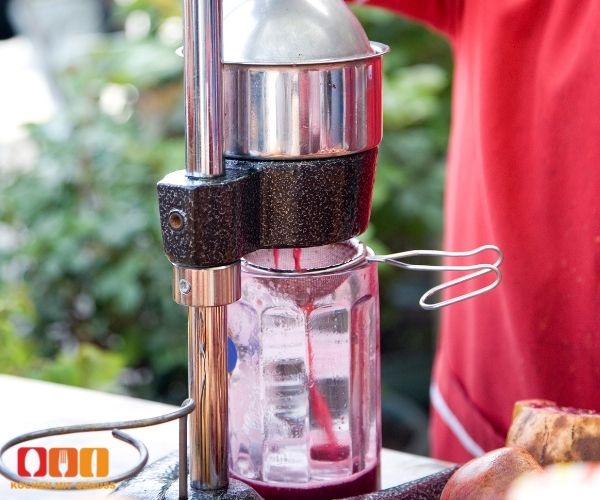 Entsafter fuer Holunderbeeren Test