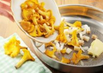 Pfifferlinge anbraten: 5 Tipps & schnelle Anleitung