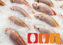 Fisch einfrieren & auftauen: Schritt-für-Schritt Anleitung