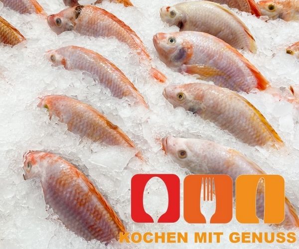 Fisch einfrieren