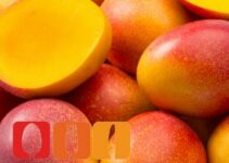 Mango einfrieren & auftauen: Schritt-für-Schritt Anleitung
